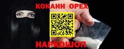 крисы Коммунар
