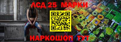 крисы Коммунар
