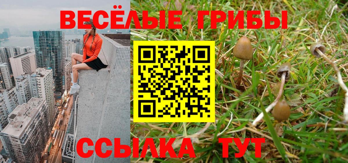 Янаул  Псилоцибиновые грибы Psilocybine cubensis  Вход с VPN 